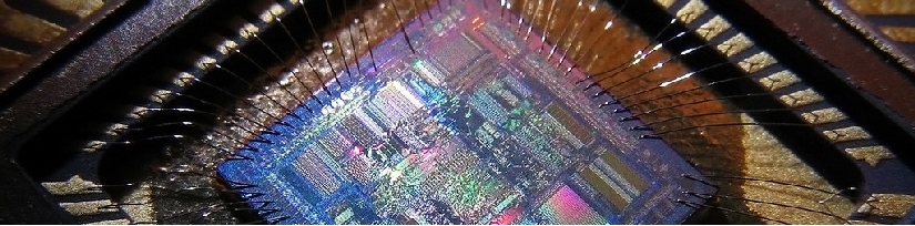 Chip-wide.jpg